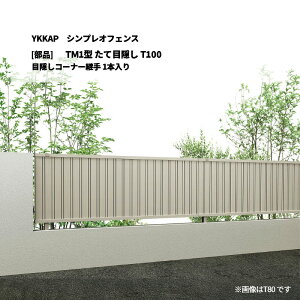 YKKAP �V���v���I�t�F���X TM1�^ ���ĖډB�� T100 �ډB���R�[�i�[�p�� 1�{���� [���i�̂�]