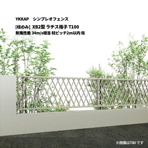 YKKAP �V���v���I�t�F���X XB2�^ ���`�X�i�q T100 �ϕ����\ 34m/s���� ���s�b�`2m�ȓ� �� [���̂�]