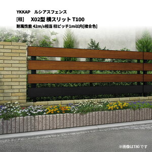 YKKAP ���V�A�X�t�F���X X02�^ ���X���b�g T100 �ϕ����\ 42m/s���� ���s�b�`1m�ȓ� [��]