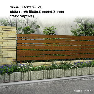 YKKAP ���V�A�X�t�F���X H03�^ ���i�q+�׉��i�q T100 2000×1000 [�{��]