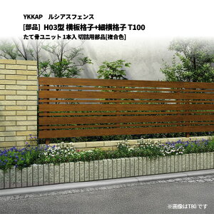 YKKAP ���V�A�X�t�F���X H03�^ ���i�q+�׉��i�q T100 ���č����j�b�g 1�{�� �؋l�p���i[���i]