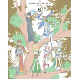 DVD / TVアニメ / ソードアート・オンラインII 6 (通常版) / ANSB-11131