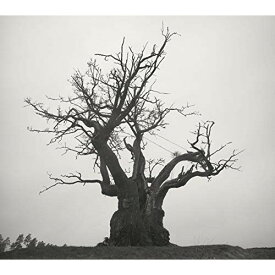 【エントリーでポイント5倍】 CD / SEKAI NO OWARI / SEKAI NO OWARI 2010-2019 (通常盤) / TFCC-86713