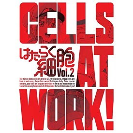 DVD / TVアニメ / はたらく細胞 Vol.2 (DVD+CD) (完全生産限定版) / ANZB-14703