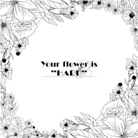【取寄商品】CD / BOY MEETS HARU / Your flower is ”HARU” / MNSTH-2
