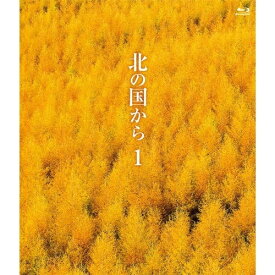 BD / 国内TVドラマ / 北の国から 1 Blu-ray(Blu-ray) / PCXC-50040