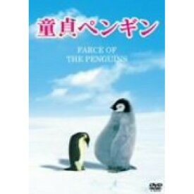 【新古品（未開封）】【DVD】童貞ペンギン [BIBF-7669]