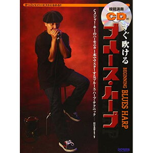 (yE) u[XEn[v(͔͉tCDt)yAEgbgz