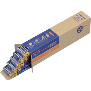 Panasonic AJdrEVOLTAƖppbN P3` 100{ (Panasonic)