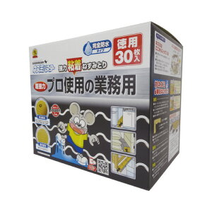 SHIMADA lY~SV[g 30 (SHIMADA)