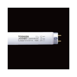 ŃCebN  E5 Ogu 40W(O[X^[^)F25{ (ŃCebN)