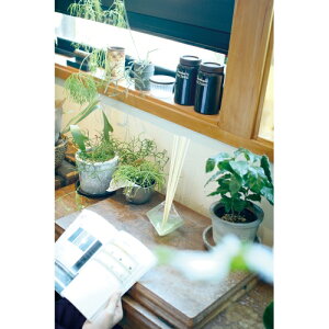 yz KXL[u[hfBt[U[ (VgX)ЃLV}