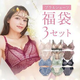 Lucky 3set 福袋 ブラャー ショーツ セット ブラョーツセット ノンワイヤー レース 補正下着 脇高 脇肉 盛りブラ谷間 小胸 ブラット ブラョーツ ブラャーセット ダイヤの谷間 極ふわ 初恋 ミニョン グレース