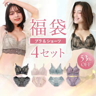 【お買い物マラソン★最大53%の福袋！】 ブラジャー ショーツ セット ノンワイヤー 小胸 脇高 背中 肉 ひ…