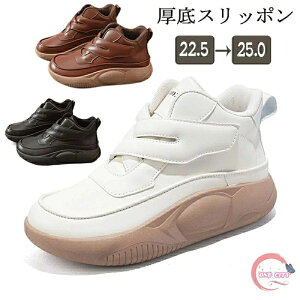 Xj[J[ fB[X O Xb| fB[X V[Y O Xj[J[ nCJbgXj[J[  RtH[gV[Y  EH[LOV[Y ʋC