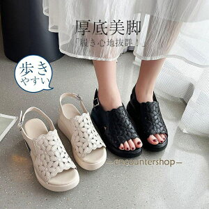 T_ fB[X T_ 萫  ₷ ɂȂ q[  i ꂢ 40 50 ҂ݍ gh