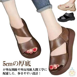 K T_ fB[X Od r  X|[cT_ ɂ EH[LO ʋC b  Xj[J[T_ ₷ lԍHw gAbv 5cm T_ y 