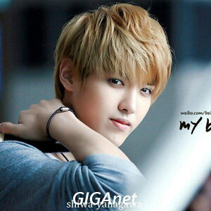 EBbO jp  Y EBbO V[g  l tEBbO plbgt 4FI