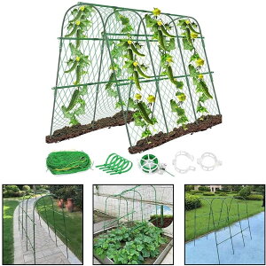 LEp Obht[ K[fLEgX O oRAp p U ^ K[fA[` AT|[g oRlbgt  XJbV LE gX  ϋv 