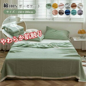 K[[Pbg VO 100% vPbg ^IPbg ėp 唻 | ӂӂ 􂦂 Ȗѕz@z ʋC |zc @K[[ K[[^IPbg 炩G k n I