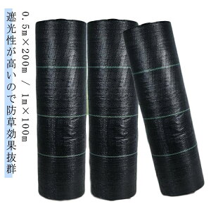 hV[g Gh~V[g UVܓ 1m×100m  G 悯V[g _ c ʋC [ GȂ GV[g h |p G Ȃ lH Ő V[g K[fjO  _