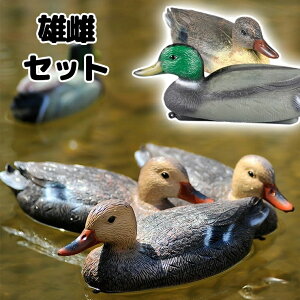 p  IXXZbg fRC ł Ƃ  Y vw Zbg 2Zbg ɕ A   vw Y ߂ 1:1