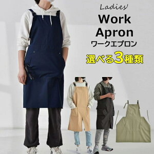 H{ALb`␅ŕ֗ Iׂ3 Gv fB[X [NGv H^  h y n DIY K[fjO JtF ԉ HX T  ₷ 