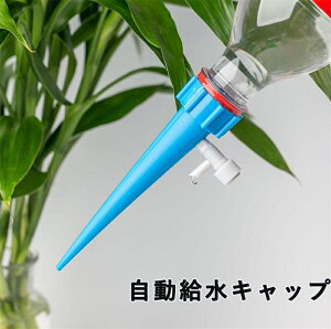   ybg{g  10/20Zbg A   ƒp @ s̎ɏ܂  @ Lbv   iKx  