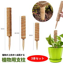 楽天市場】3本 支柱 トマトの通販