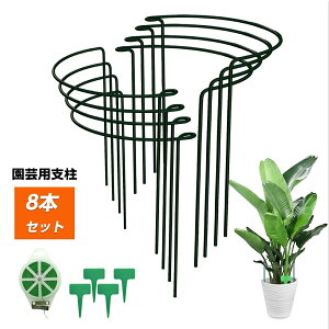 Ax 8Zbg 26cmx60cm K[fjO x ~` |pi w̍ ϗtx _Ɨp Ԃ |x AT|[g ϗtA 鐫A