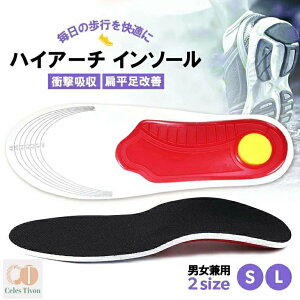 C\[ A[`T|[g nCA[` Ռz ~ C X|[c CC\[ G Xr Or ~ y jp Y fB[X ɂ  GC\[ X|[c J