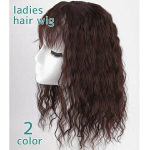 wAEBbO tEBbO fB[X wAANZT[  OwA p[} EF[u \o[W y uE ubN  {[Abv ӂ  C`F R