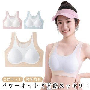 w u 3Zbg X|[cu Lw pT|[^[ hȂ WjA Ci[ pbgt ̎q p X|u KEFA tBbglXu Z w w