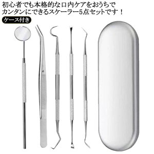 XP[[ 5_Zbg f^PA P[Xt 5_  Ύ C j  v[N   p XeX ɍ f^c[ oPA  hV