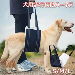 p s⏕n[lX p sT|[g ybg s⏕ EȒP TCY߉\  V L[ [h  y ʋC RۏL nr⏕p E֗ VjA 