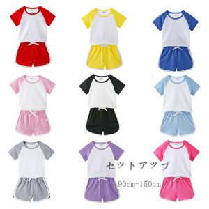 q ZbgAbv LbY c jp ĕ  100% X|[cEFA ㉺Zbg  TVc V[gpc 2_Zbg S9F w ۈ牀 ct wZ NX ^ c 