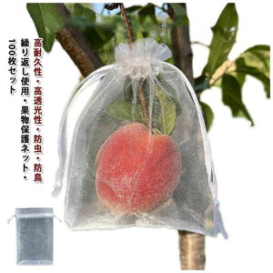 hlbg ʎ 񂲑 ʕlbg 100 ʕیobO | lbg Ԃǂ ʎphlbg C`S JX΍