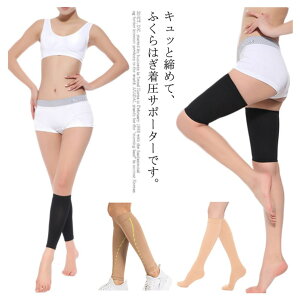 ӂ͂p iKT|[^[ ނ݉ nC\bNX  d ΍