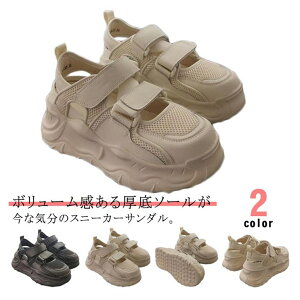 T_ Xj[J[T_  bV Xgbvt ubN y ʋC fB[X Ȃ V[Y TCY\ x[W X|[c ᔽ