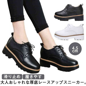 [t@[ C Xj[J[ }jbVV[Y fB[X [XAbv \[ ₷ 芴 ubN