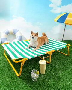 ybgxbh hbORbg rt  L xbh RpNg[ |[^u ^ ې􂢉\ gȒP ybgpi