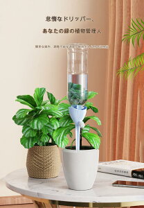  6Zbg A ~ UVXe    A  _H