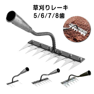 5/6/7/8{ yق @N _Ɨp G yʃXeX 背[L ƒ뉀| |pi