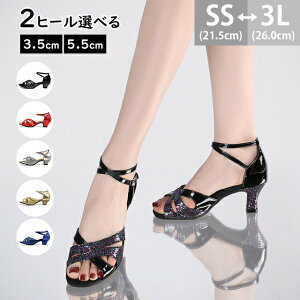 Ќ_XV[Y fB[X eV[Y p 3.5/5.5cmq[ TT WY p _炩 r Kp