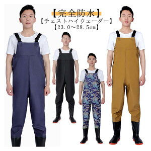 h tC `FXgnC cA `FXgnCEF[_[ ނ ނ EF[_[ C WA kނ