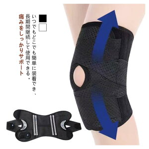 傫TCY X|[c GT|[^[ 2Zbg GWPA Vxg GŒ  ʋC ֐ߐxѕی