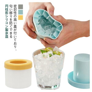 ȃXy[X ACXg[ VRXM ۑP[X RpNg Wt ~` 60