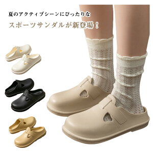 fB[X X|[cT_  RtH[gT_ Ȃ h AEghA JWA ₷