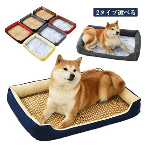 ybgpN[\t@xbh p^ ^ ЂK ʋCQ tėp LΉ