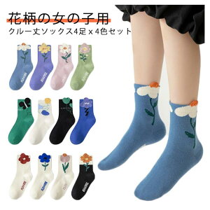 \bNX q H ԕN[\bNX4Zbg LbY C   WjA ʉ ʊw 14cm?26cm